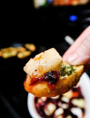 A hand holds a crostini with a chunk of brie and cranberry sauce piled on top.